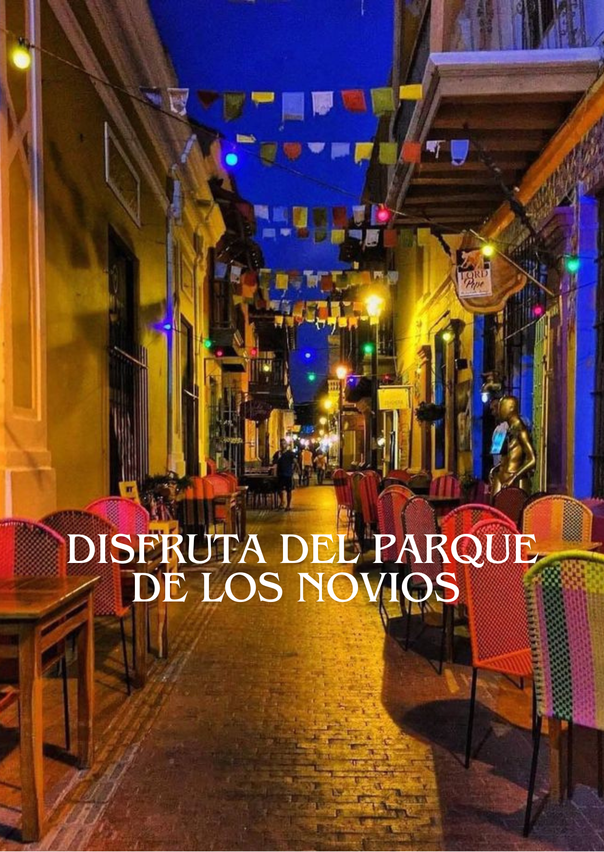 2_20240919_162300_0001