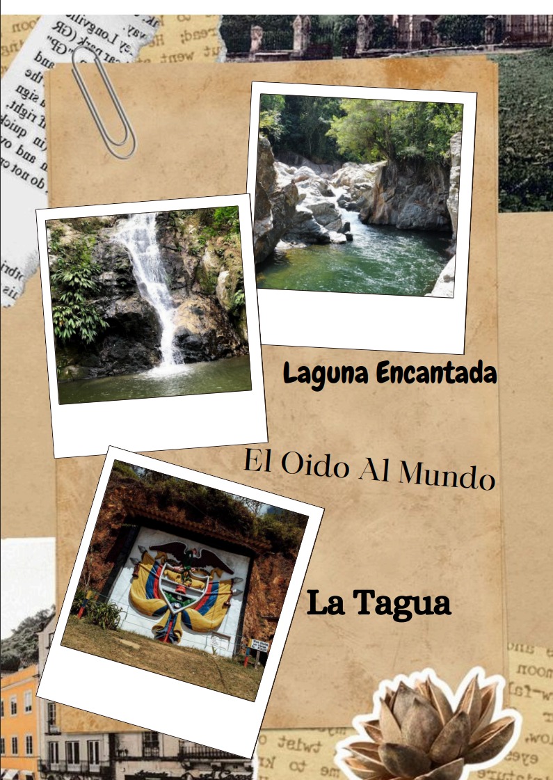 WhatsApp Image 2024-09-19 at 2.24.14 PM (4)