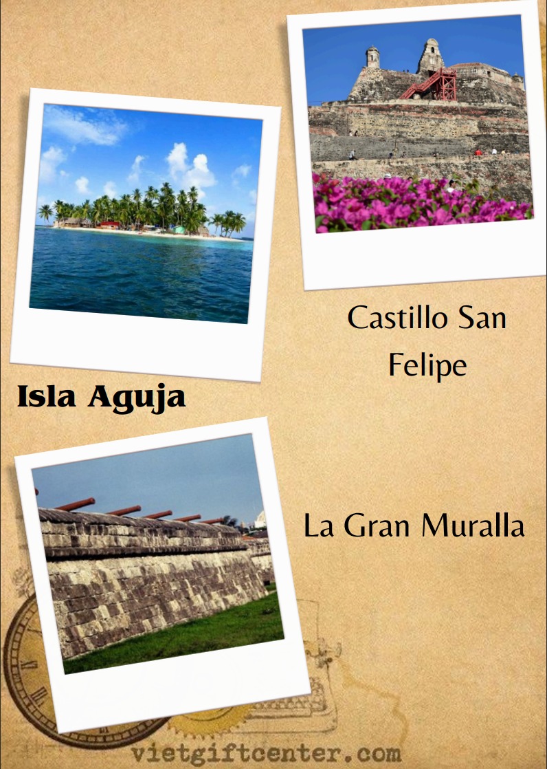 WhatsApp Image 2024-09-19 at 2.24.14 PM (5)